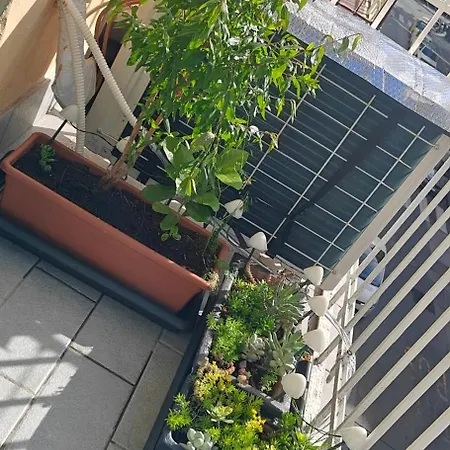 Tirona - Appartement *