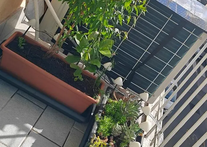 Tirona - Apartmán *